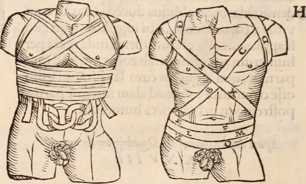 An illustration from Galeni omnia quae extant opera : in latinum sermonem conuersa, 1565, leaf 1211