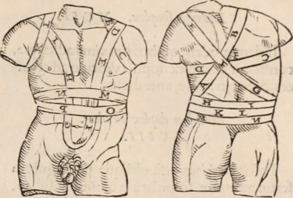 An illustration from Galeni omnia quae extant opera : in latinum sermonem conuersa, 1565, leaf 1212