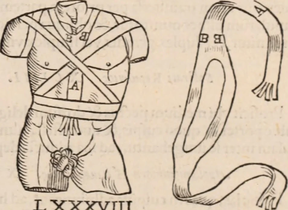 An illustration from Galeni omnia quae extant opera : in latinum sermonem conuersa, 1565, leaf 1212