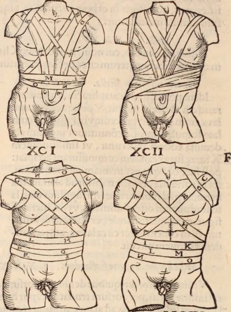 An illustration from Galeni omnia quae extant opera : in latinum sermonem conuersa, 1565, leaf 1213