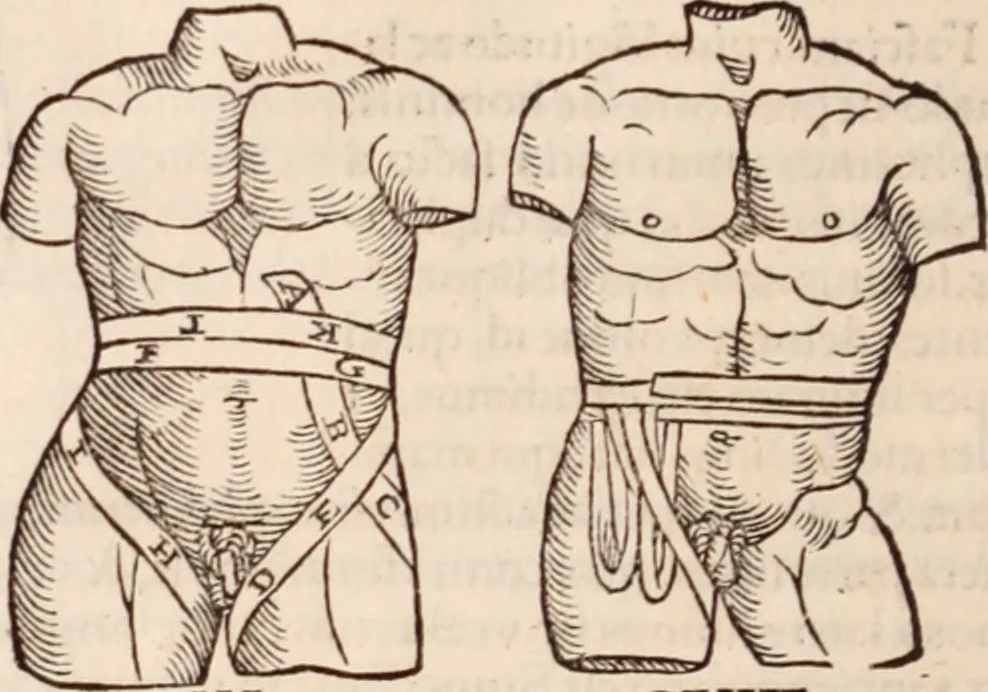 An illustration from Galeni omnia quae extant opera : in latinum sermonem conuersa, 1565, leaf 1215