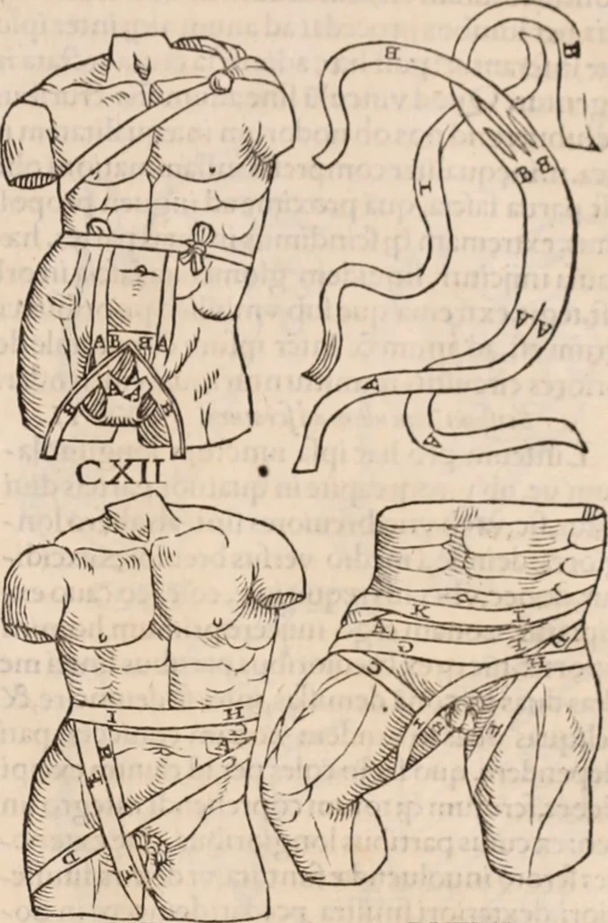 An illustration from Galeni omnia quae extant opera : in latinum sermonem conuersa, 1565, leaf 1216