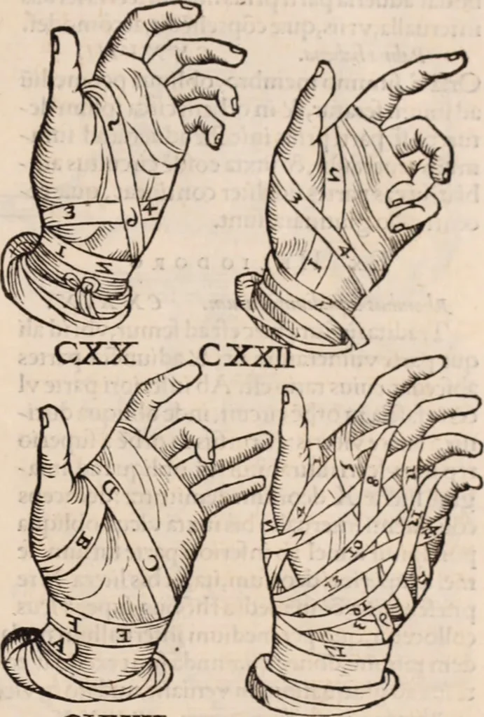 An illustration from Galeni omnia quae extant opera : in latinum sermonem conuersa, 1565, leaf 1218