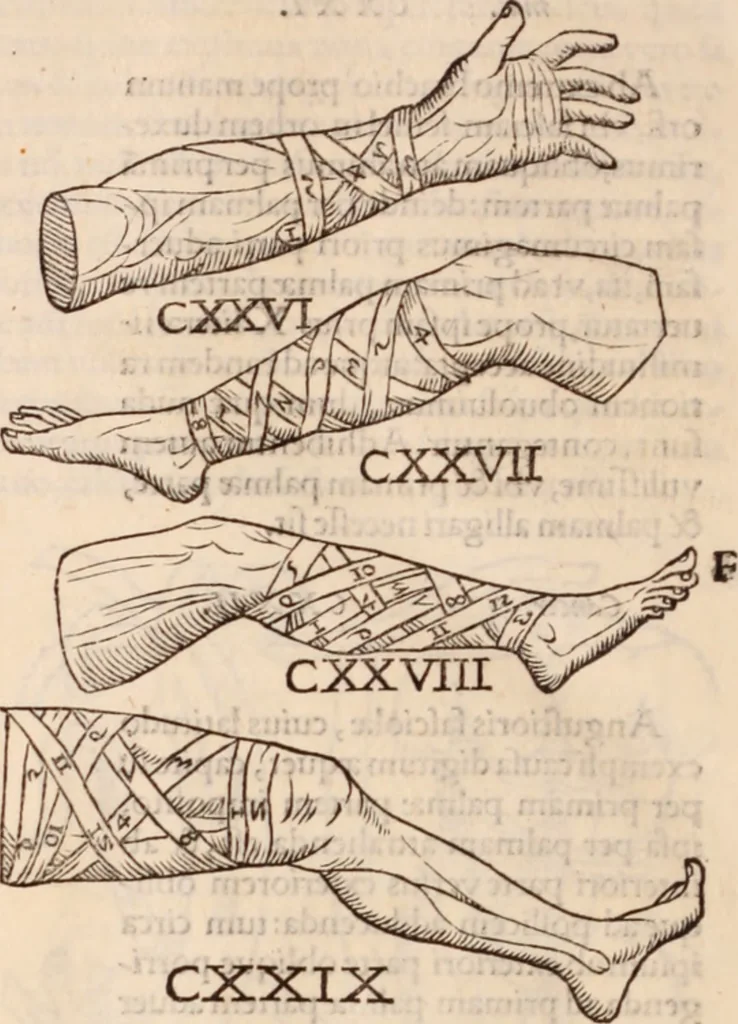 An illustration from Galeni omnia quae extant opera : in latinum sermonem conuersa, 1565, leaf 1219
