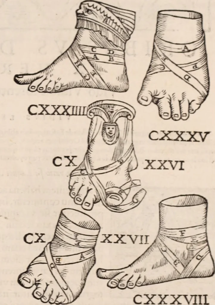 An illustration from Galeni omnia quae extant opera : in latinum sermonem conuersa, 1565, leaf 1220