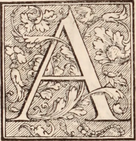 An illustration from Galeni omnia quae extant opera : in latinum sermonem conuersa, 1565, leaf 1221