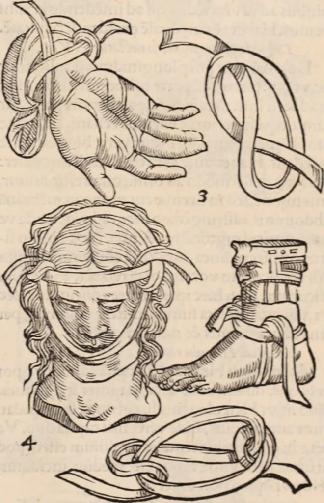 An illustration from Galeni omnia quae extant opera : in latinum sermonem conuersa, 1565, leaf 1222