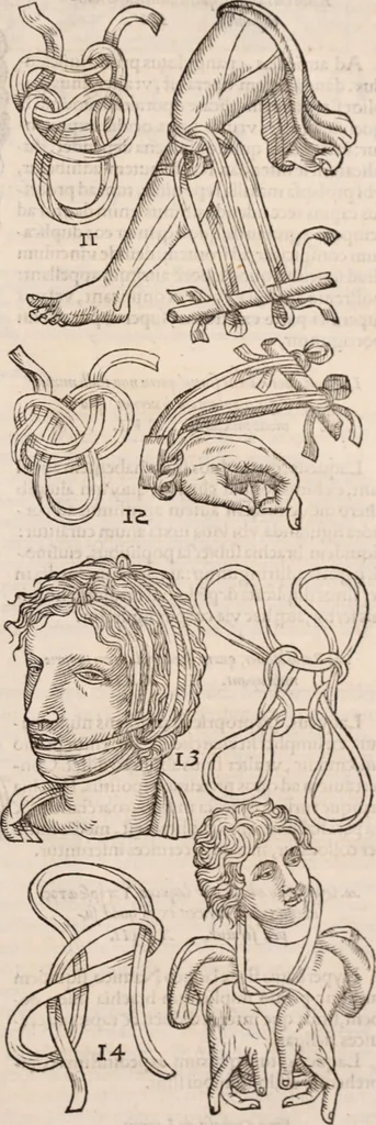 An illustration from Galeni omnia quae extant opera : in latinum sermonem conuersa, 1565, leaf 1224