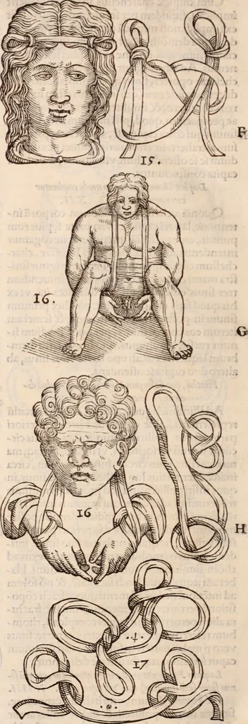 An illustration from Galeni omnia quae extant opera : in latinum sermonem conuersa, 1565, leaf 1225