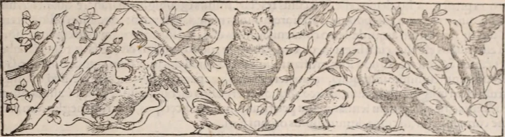 An illustration from Galeni omnia quae extant opera : in latinum sermonem conuersa, 1565, leaf 1226