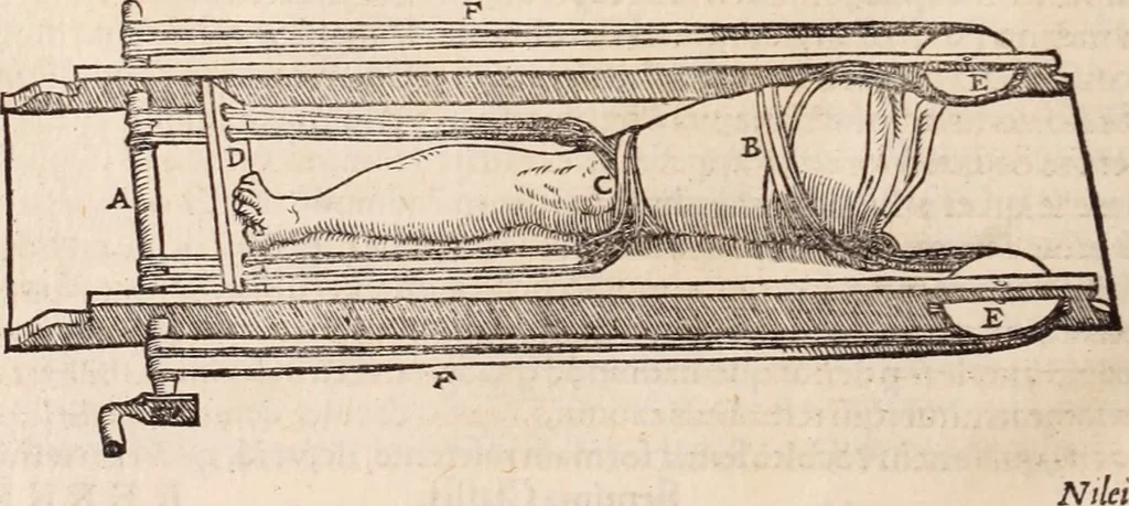 An illustration from Galeni omnia quae extant opera : in latinum sermonem conuersa, 1565, leaf 1229
