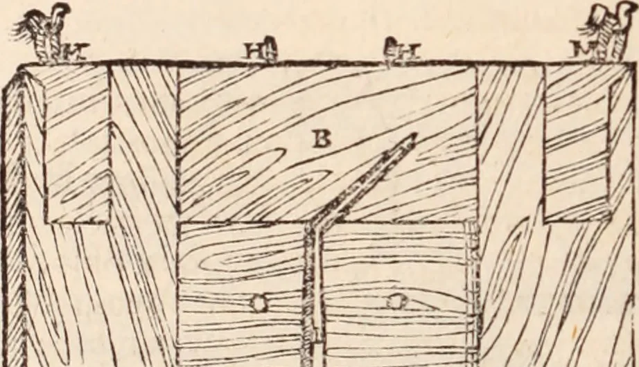 An illustration from Galeni omnia quae extant opera : in latinum sermonem conuersa, 1565, leaf 1239