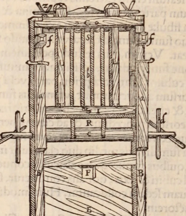 An illustration from Galeni omnia quae extant opera : in latinum sermonem conuersa, 1565, leaf 1243