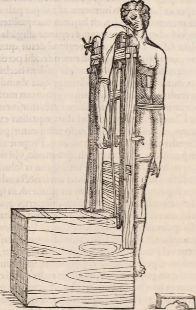 An illustration from Galeni omnia quae extant opera : in latinum sermonem conuersa, 1565, leaf 1244