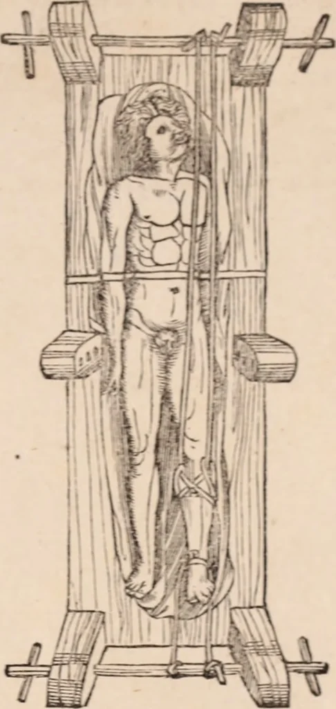 An illustration from Galeni omnia quae extant opera : in latinum sermonem conuersa, 1565, leaf 1252