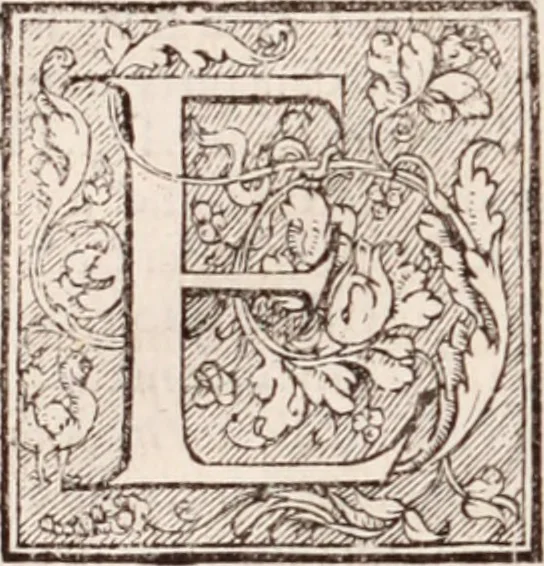 An illustration from Galeni omnia quae extant opera : in latinum sermonem conuersa, 1565, leaf 183