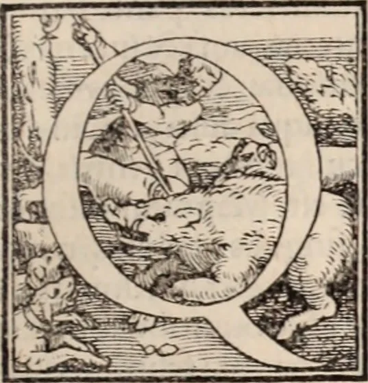 An illustration from Galeni omnia quae extant opera : in latinum sermonem conuersa, 1565, leaf 200