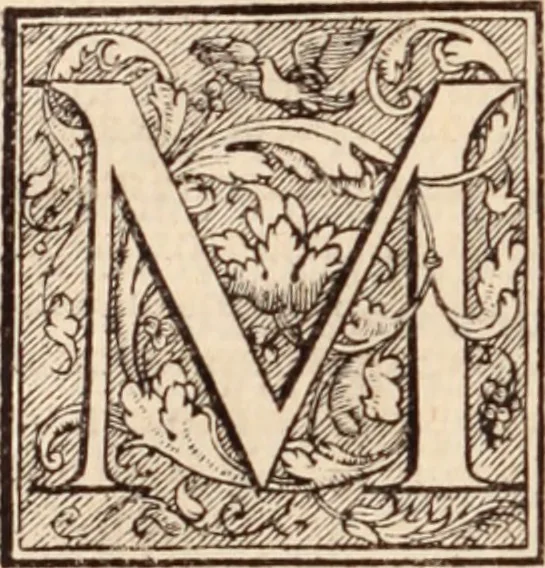 An illustration from Galeni omnia quae extant opera : in latinum sermonem conuersa, 1565, leaf 203