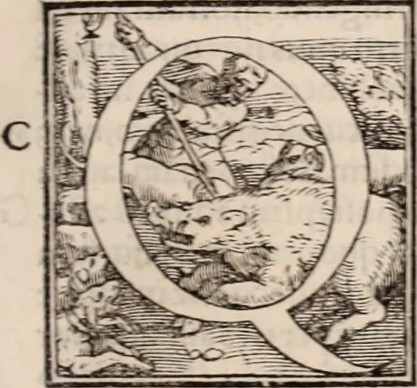 An illustration from Galeni omnia quae extant opera : in latinum sermonem conuersa, 1565, leaf 246