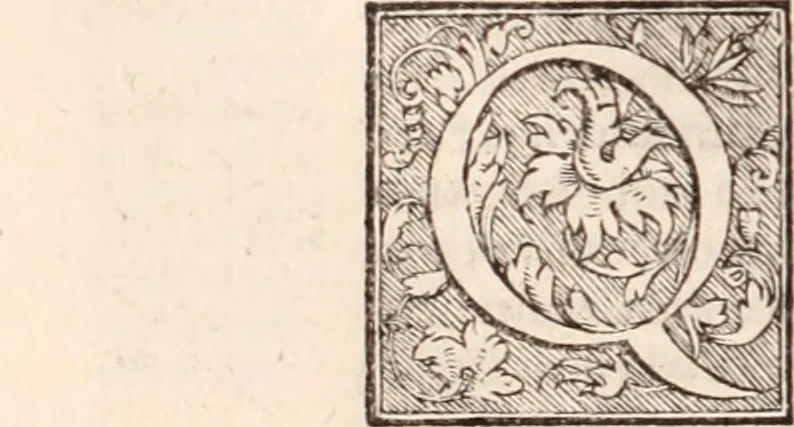 An illustration from Galeni omnia quae extant opera : in latinum sermonem conuersa, 1565, leaf 267
