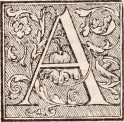 An illustration from Galeni omnia quae extant opera : in latinum sermonem conuersa, 1565, leaf 285
