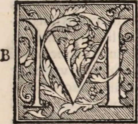 An illustration from Galeni omnia quae extant opera : in latinum sermonem conuersa, 1565, leaf 358