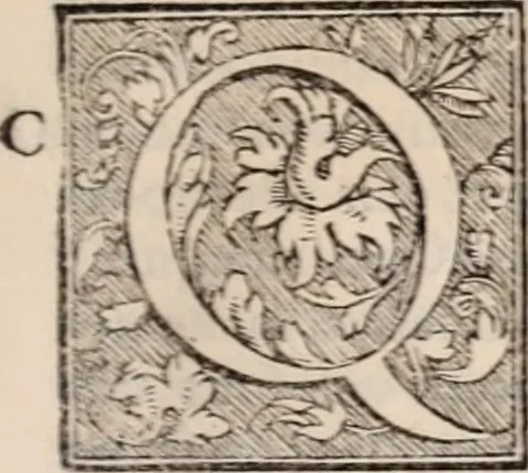 An illustration from Galeni omnia quae extant opera : in latinum sermonem conuersa, 1565, leaf 378