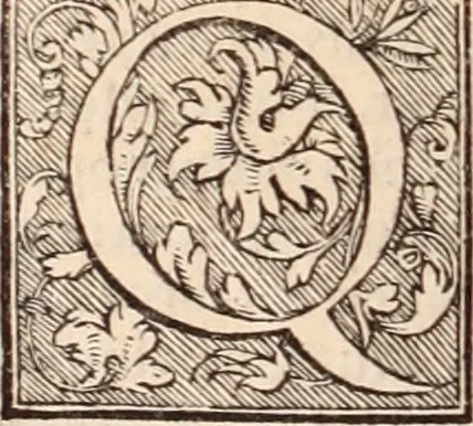 An illustration from Galeni omnia quae extant opera : in latinum sermonem conuersa, 1565, leaf 415
