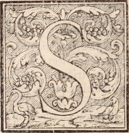 An illustration from Galeni omnia quae extant opera : in latinum sermonem conuersa, 1565, leaf 423