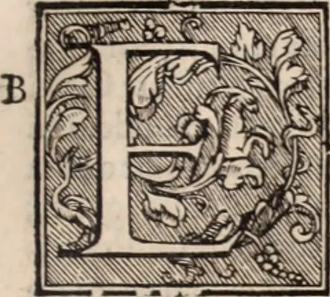 An illustration from Galeni omnia quae extant opera : in latinum sermonem conuersa, 1565, leaf 460