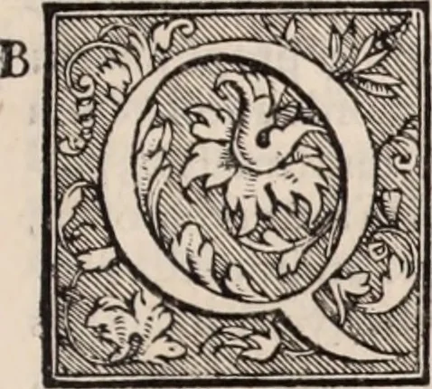 An illustration from Galeni omnia quae extant opera : in latinum sermonem conuersa, 1565, leaf 52