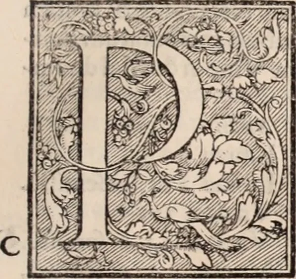 An illustration from Galeni omnia quae extant opera : in latinum sermonem conuersa, 1565, leaf 554