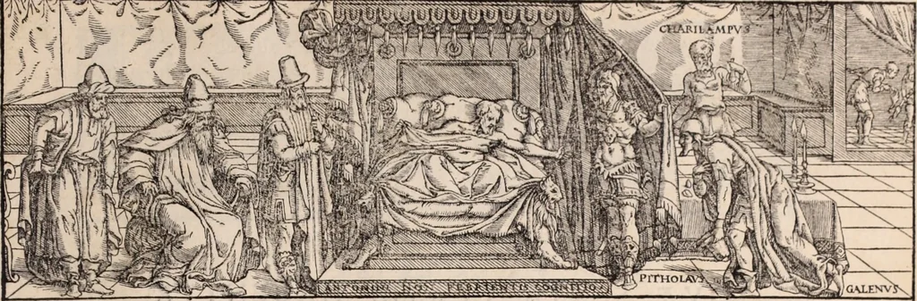An illustration from Galeni omnia quae extant opera : in latinum sermonem conuersa, 1565, leaf 560