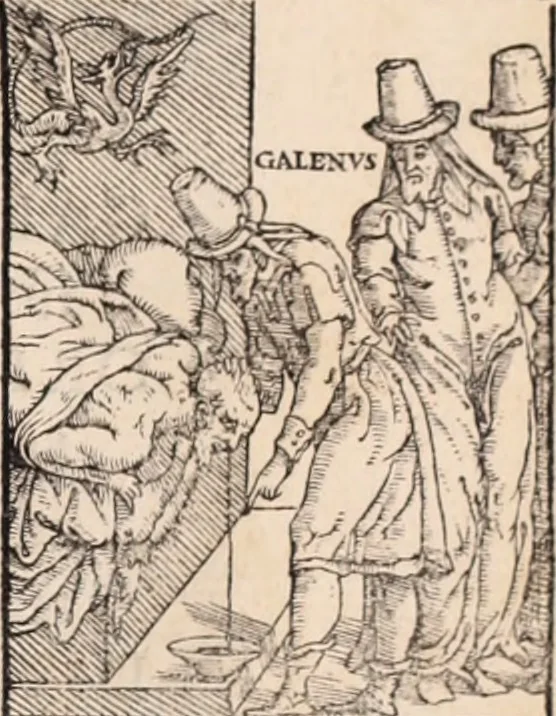 An illustration from Galeni omnia quae extant opera : in latinum sermonem conuersa, 1565, leaf 560