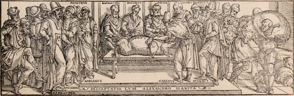 An illustration from Galeni omnia quae extant opera : in latinum sermonem conuersa, 1565, leaf 560
