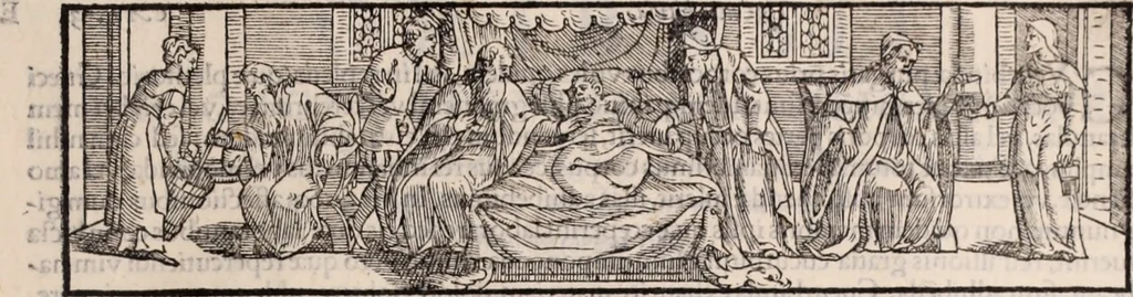 An illustration from Galeni omnia quae extant opera : in latinum sermonem conuersa, 1565, leaf 562
