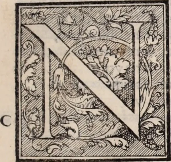 An illustration from Galeni omnia quae extant opera : in latinum sermonem conuersa, 1565, leaf 562