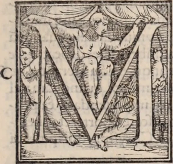 An illustration from Galeni omnia quae extant opera : in latinum sermonem conuersa, 1565, leaf 568