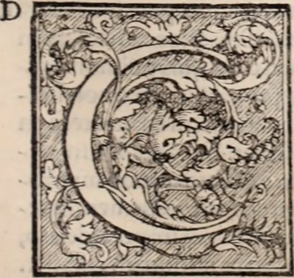 An illustration from Galeni omnia quae extant opera : in latinum sermonem conuersa, 1565, leaf 576