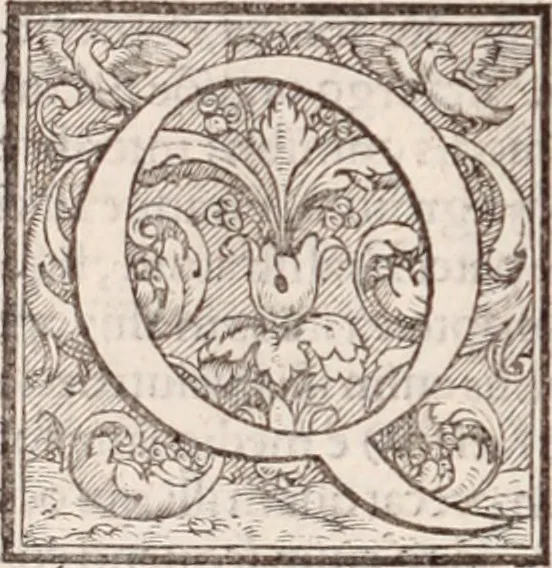 An illustration from Galeni omnia quae extant opera : in latinum sermonem conuersa, 1565, leaf 589