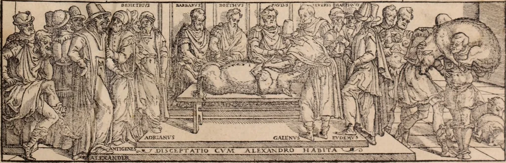 An illustration from Galeni omnia quae extant opera : in latinum sermonem conuersa, 1565, leaf 6