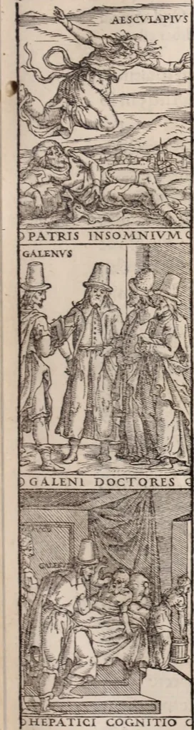 An illustration from Galeni omnia quae extant opera : in latinum sermonem conuersa, 1565, leaf 602