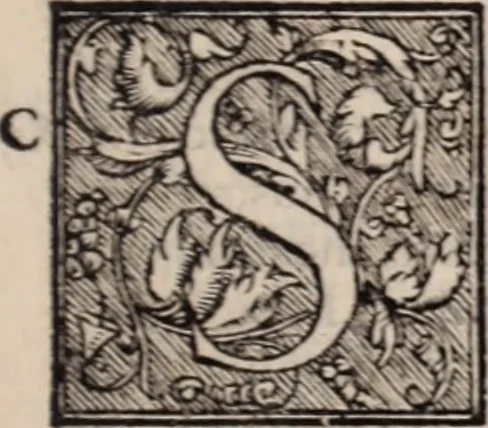 An illustration from Galeni omnia quae extant opera : in latinum sermonem conuersa, 1565, leaf 632