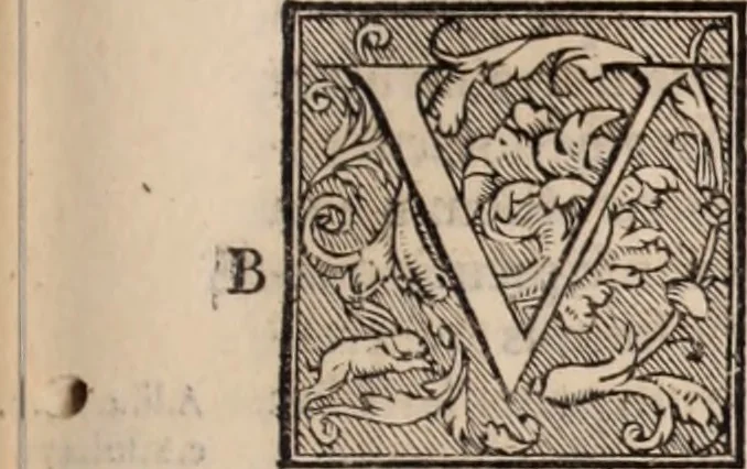 An illustration from Galeni omnia quae extant opera : in latinum sermonem conuersa, 1565, leaf 646