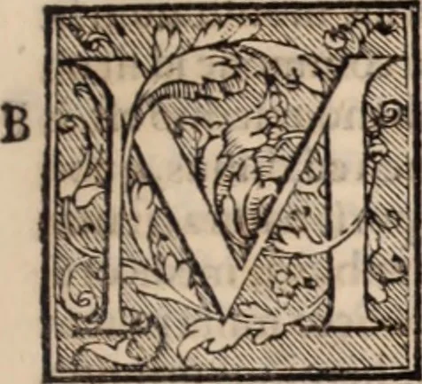 An illustration from Galeni omnia quae extant opera : in latinum sermonem conuersa, 1565, leaf 686