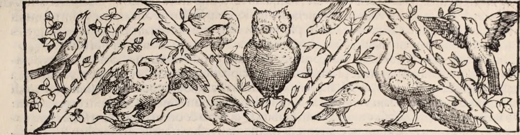An illustration from Galeni omnia quae extant opera : in latinum sermonem conuersa, 1565, leaf 788