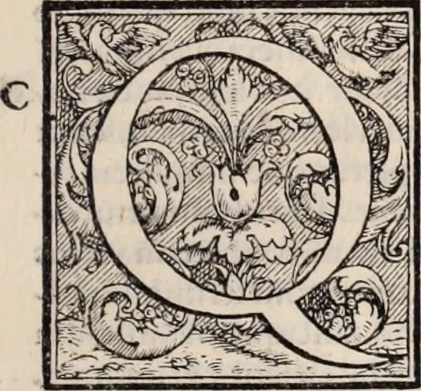 An illustration from Galeni omnia quae extant opera : in latinum sermonem conuersa, 1565, leaf 788