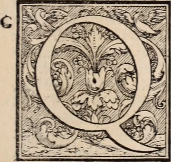 An illustration from Galeni omnia quae extant opera : in latinum sermonem conuersa, 1565, leaf 8