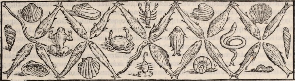 An illustration from Galeni omnia quae extant opera : in latinum sermonem conuersa, 1565, leaf 816