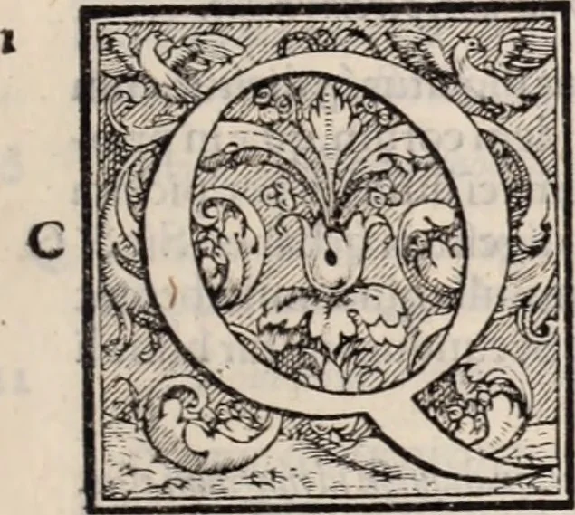 An illustration from Galeni omnia quae extant opera : in latinum sermonem conuersa, 1565, leaf 816